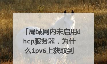 探索最佳的IPv6DNS服务器，提升网络连接速度与安全性（为你的互联网体验加速提供持续优化的DNS服务器）